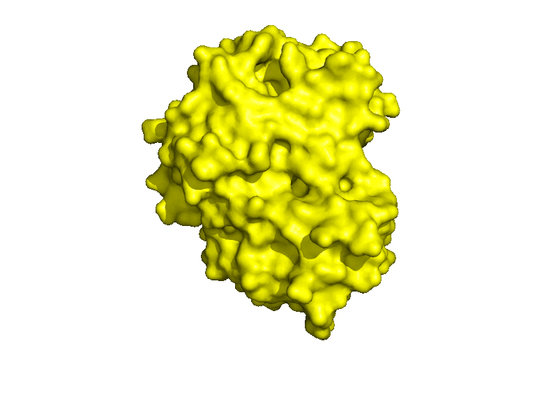Protein animation
